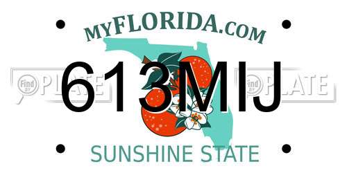 613MIJ Florida License Plate