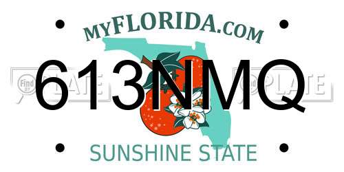 613NMQ Florida License Plate