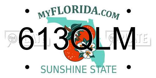 613QLM Florida License Plate