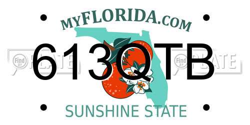 613QTB Florida License Plate