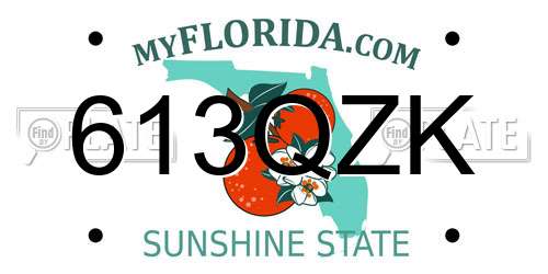 613QZK Florida License Plate