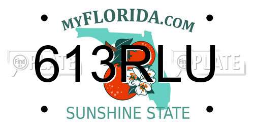 613RLU Florida License Plate