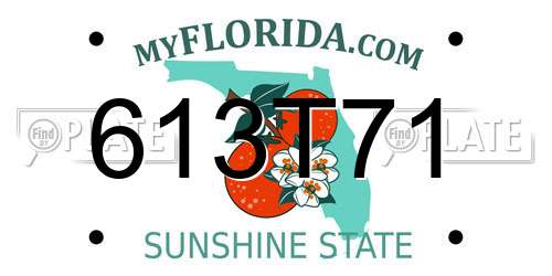 613T71 Florida License Plate