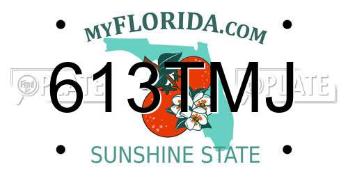 613TMJ Florida License Plate
