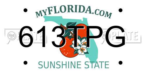 613TPG Florida License Plate