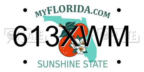 613XWM Florida License Plate