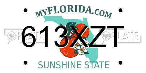 613XZT Florida License Plate