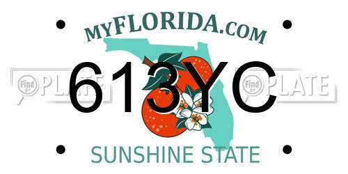 613YC Florida License Plate