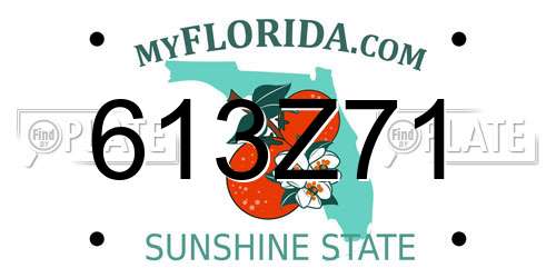 613Z71 Florida License Plate