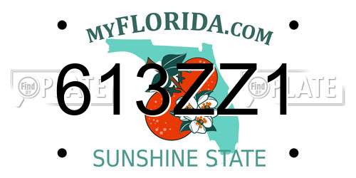 613ZZ1 Florida License Plate