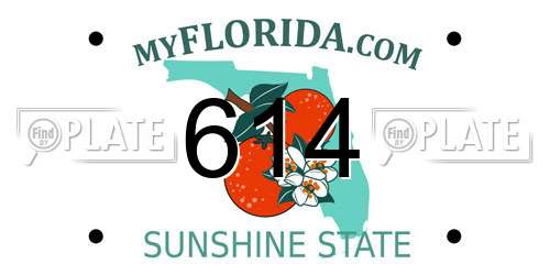 614 Florida License Plate