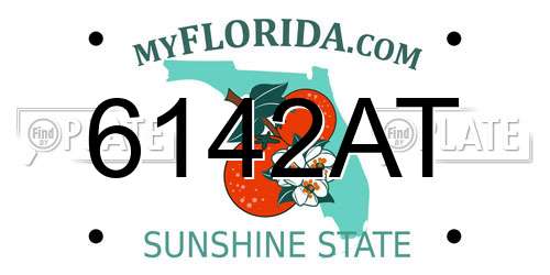 6142AT Florida License Plate