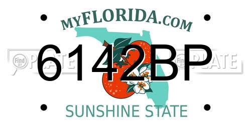6142BP Florida License Plate