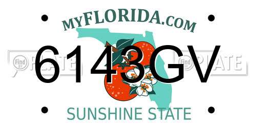 6143GV Florida License Plate
