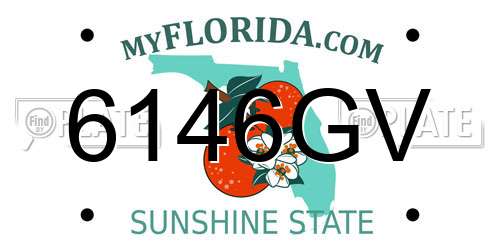 6146GV Florida License Plate