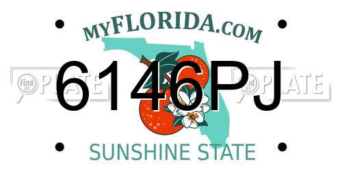 6146PJ Florida License Plate