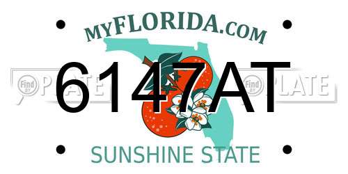6147AT Florida License Plate