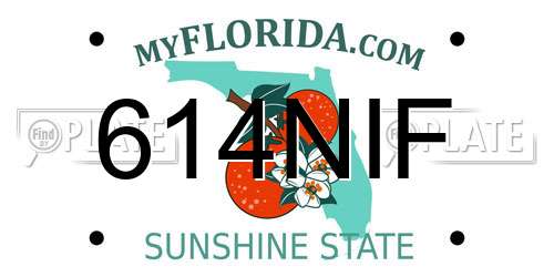 614NIF Florida License Plate