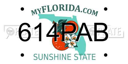 614PAB Florida License Plate