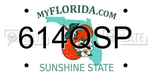 614QSP Florida License Plate