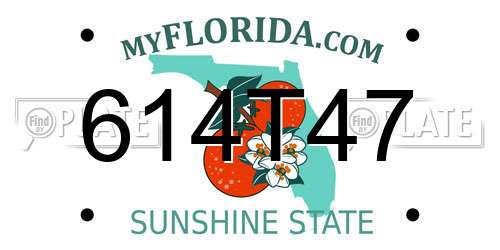614T47 Florida License Plate