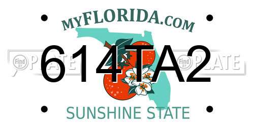 614TA2 Florida License Plate