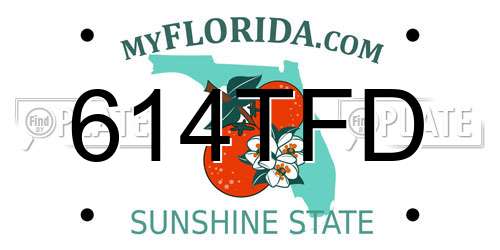 614TFD Florida License Plate