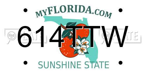 614TTW Florida License Plate