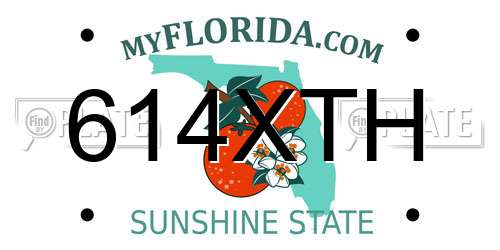 614XTH Florida License Plate