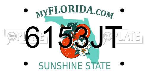 6153JT Florida License Plate