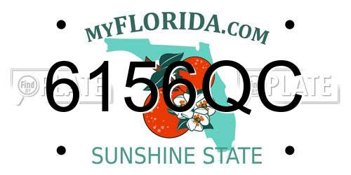 6156QC Florida License Plate