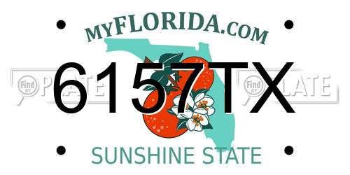 6157TX Florida License Plate