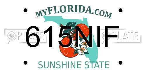 615NIF Florida License Plate