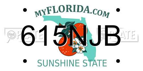 615NJB Florida License Plate