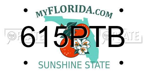 615PTB Florida License Plate