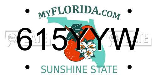 615YYW Florida License Plate
