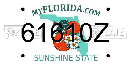 61610Z Florida License Plate