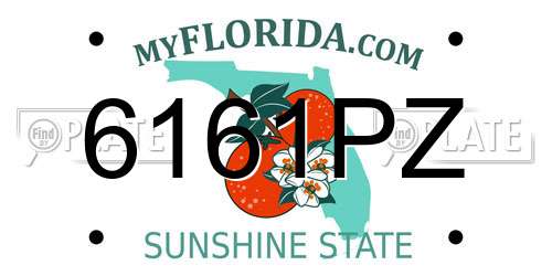 6161PZ Florida License Plate