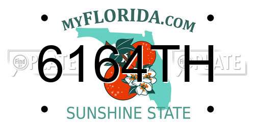 6164TH Florida License Plate