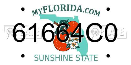 61664C0 Florida License Plate