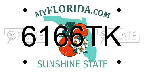 6166TK Florida License Plate