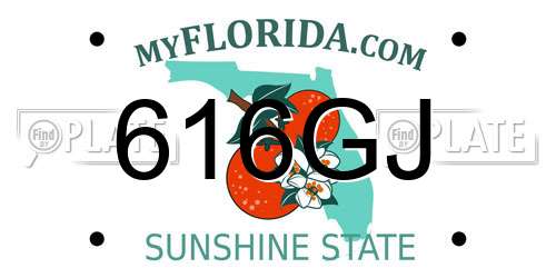 616GJ Florida License Plate