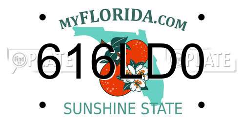 616LD0 Florida License Plate