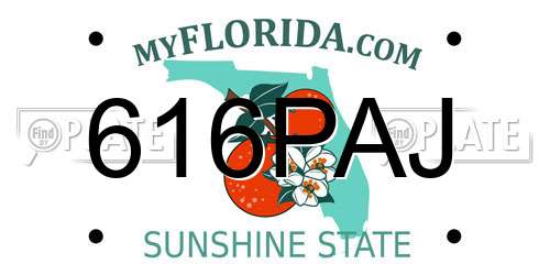 616PAJ Florida License Plate