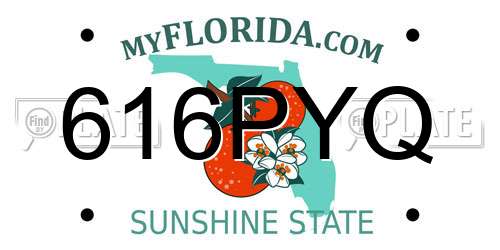 616PYQ Florida License Plate