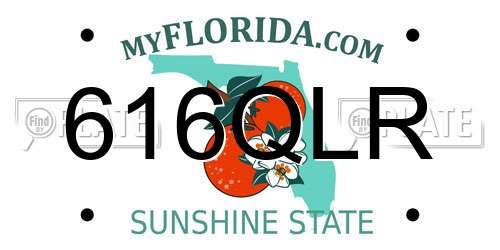 616QLR Florida License Plate
