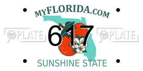 617 Florida License Plate
