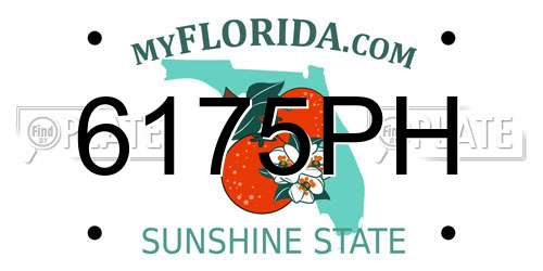 6175PH Florida License Plate