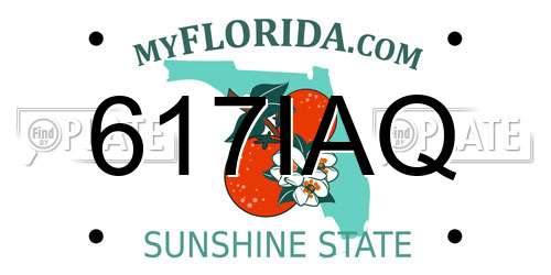 617IAQ Florida License Plate