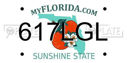617LGL Florida License Plate